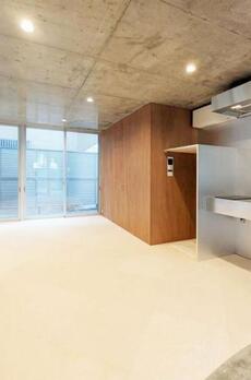 SHINJUKU NEW VILLA 