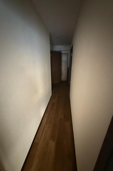 パレスガル 