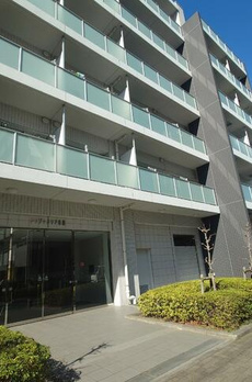 クリプトメリア目黒 