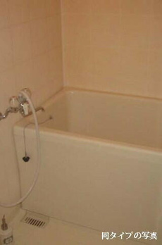 エレガン学芸大学 