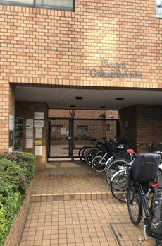 エレガン学芸大学 