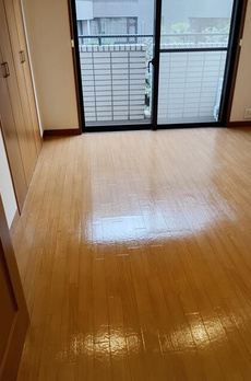 ロイヤルハウス都立大 