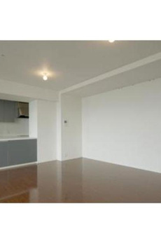 ＴＨＥ　ＴＯＫＹＯ　ＴＯＷＥＲＳ　ＭＩＤＴＯＷＥＲ 