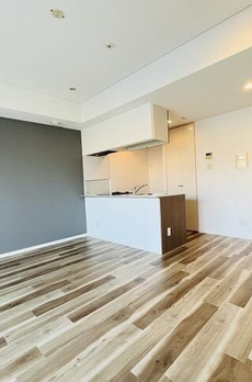 Ｇｒａｃｅ　Ｃｏｕｒｔ　Ｓｈｉｒｏｋａｎｅ 