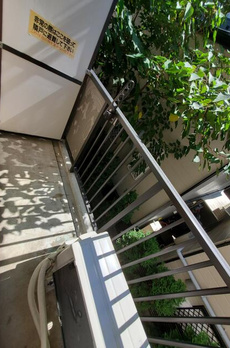 グランデッサ代沢（Ｇｒａｎｄｅｚａ代沢） 