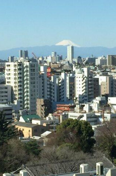 ＴＨＥ　ＣＯＮＯＥ　代官山 