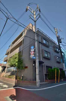 コスモフラワー 