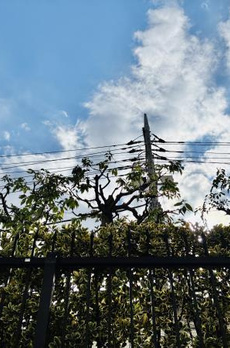 Ｂｒｉｌｌｉａ品川中延 