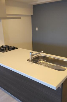 錦糸町一重ローヤルコーポ 