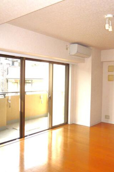 フリーディオ西麻布 