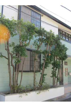 ジュネス小日向 