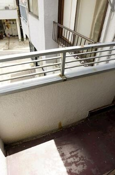 幸道邸 