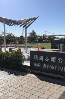 HARUMI FLAG PARK VILLAGE T棟 