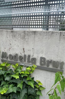 Ｍｏｄｅｌｉａ　Ｂｒｕｔ表参道 