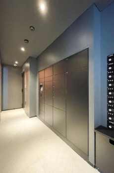 ＺＯＯＭ信濃町 