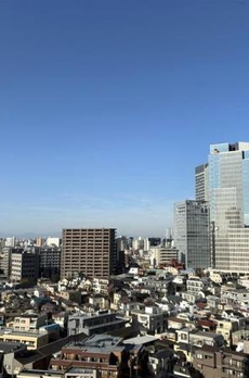 ザ・パークハウス西新宿タワー６０ 