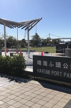ＨＡＲＵＭＩ　ＦＬＡＧ　ＰＡＲＫ　ＶＩＬＬＡＧＥ　Ｔ棟 