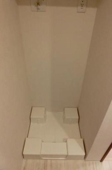 ＲＥＸ白金 