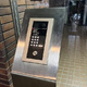 ノアール 