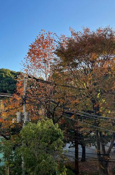 プレミスト代々木公園パークフロント 