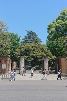 Ｎハウス 