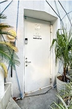 ナチュラルエリップス 