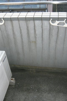 カーサグリジオ 