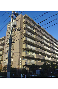 ライネスハイム志村（０１０９４２） 