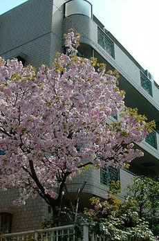 マハール南大塚 