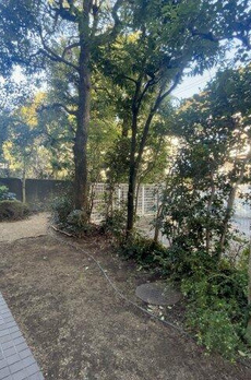 白金三光アンクレー 