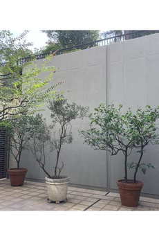 マスタービュー　レジデンス 