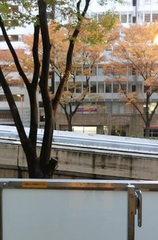 ＺＯＯＭ都庁前 