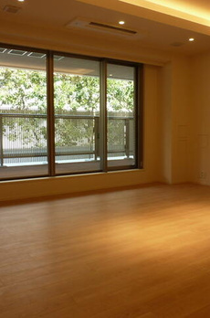 ＲＯＰＰＯＮＧＩ　ＰＬＡＣＩＤ 