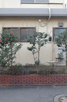 目黒区五本木三丁目戸建 