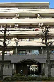 ドムール江古田 