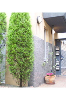 ＮＡＳマンション 