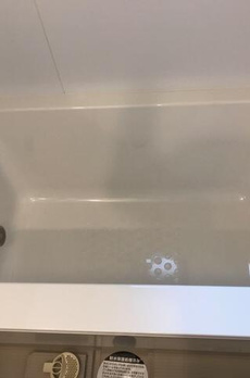 ステラフォート 