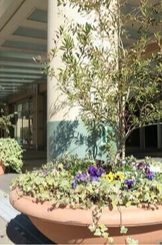 河田町ガーデン１号棟 