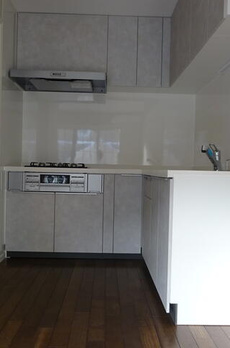 シャイリービーナス 