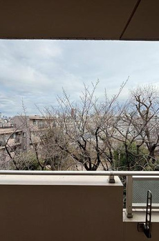 ＨＦ若林公園レジデンス 