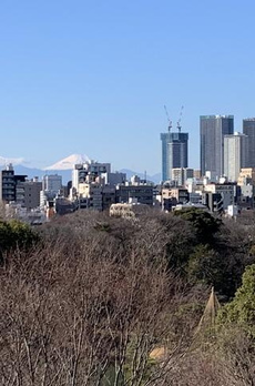 藤和シティホームズ六義園 