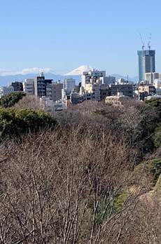 藤和シティホームズ六義園 