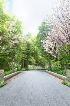 セントラルガーデン月島ザタワー 