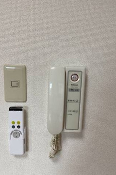 プラシードアープ 