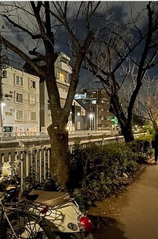 リバーサイドテラス 周辺環境