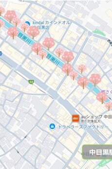 フィルパーク中目黒Ⅱ 