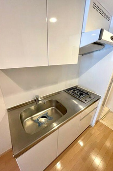 レジディア西新宿Ⅱ 