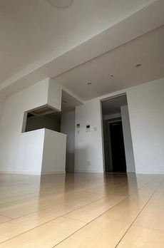 ＫＤＸレジデンス東新宿 