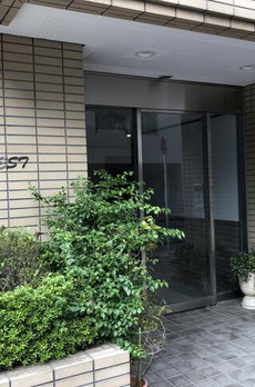 エバーフォレスト 