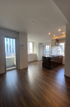 ミレアコート銀座プレミア 